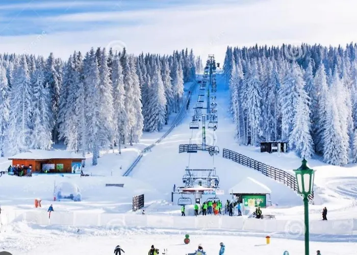 Euphoria Milmari Daire